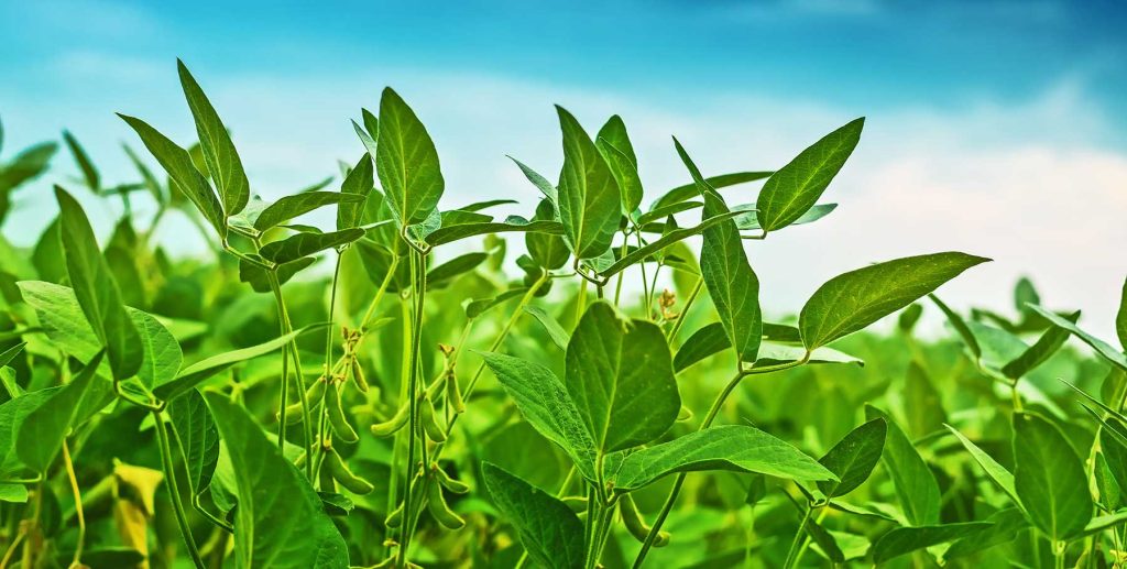 USPS shared customer postal addresses with Meta, LinkedIn and Snap